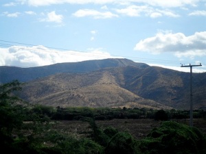 Deforestation in Haiti’s Artibonite region