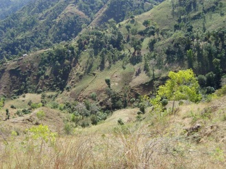 Believe It Or Not, Deforestation in Haiti Is Not About Trees